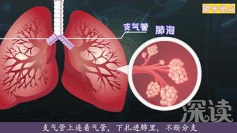 爆肺是什么? 爆肺是什么?
