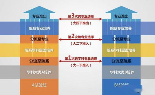 双一流高校本科再扩招2万人 双一流高校本科再扩招2万人