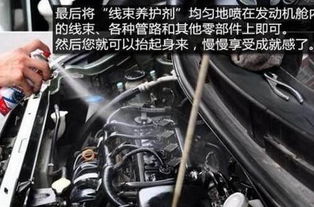 汽车发动多少公里才正常 汽车发动多少公里才正常