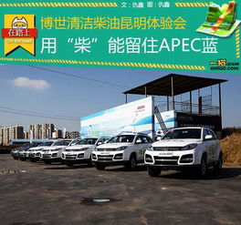 汽车柴油的比例是多少