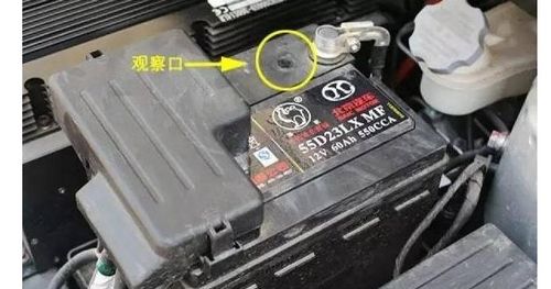 汽车电瓶漏电电压是多少 汽车电瓶漏电电压是多少