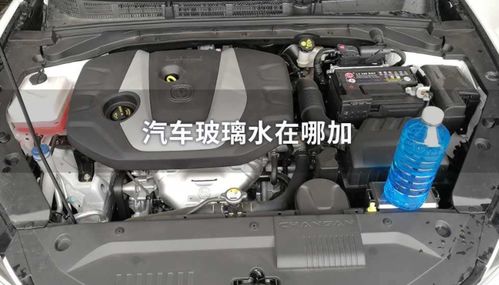 一般汽车玻璃水加多少 一般汽车玻璃水加多少