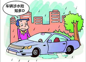 汽车附加险怎么赔偿多少 汽车附加险怎么赔偿多少
