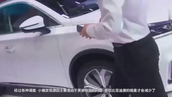 换汽车前脸多少钱 换汽车前脸多少钱