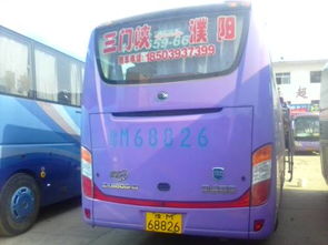 濮阳汽车拍照多少钱
