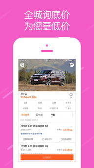 汽车大师咨询费用多少啊 汽车大师咨询费用多少啊