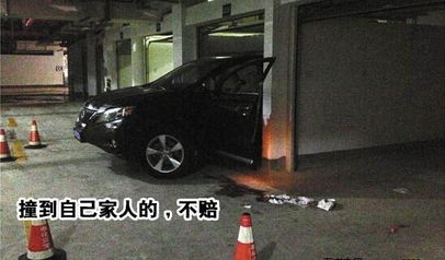 故意被汽车撞死赔多少 故意被汽车撞死赔多少
