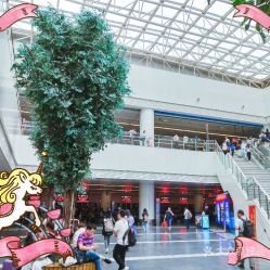 无锡汽车站电话是多少 无锡汽车站电话是多少