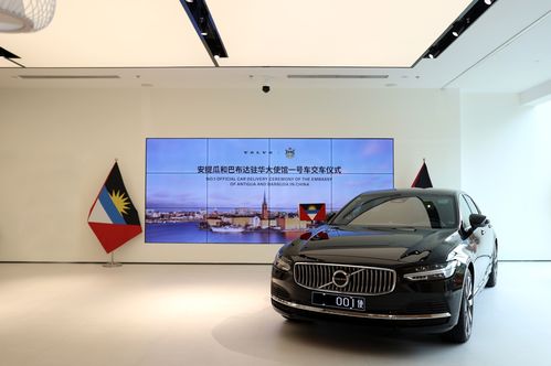 汽车有多少号