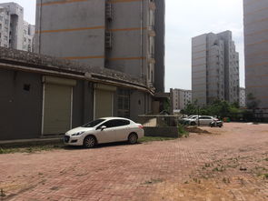 舞钢汽车站油价多少 舞钢汽车站油价多少