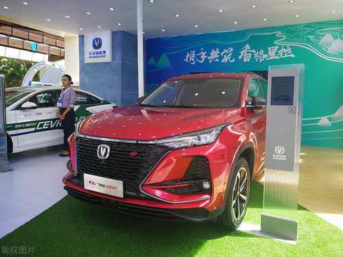 比亚迪是多少排量的汽车 比亚迪是多少排量的汽车