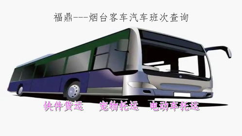 宁化到泉上汽车多少点 宁化到泉上汽车多少点