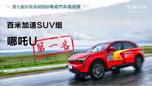 u能电动汽车多少钱
