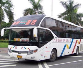 永嘉到乐清汽车价格多少 永嘉到乐清汽车价格多少