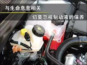 汽车刹车油多少公里换 汽车刹车油多少公里换