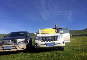 禄丰到元谋汽车多少钱 禄丰到元谋汽车多少钱