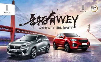 中国有多少名牌汽车名称 中国有多少名牌汽车名称