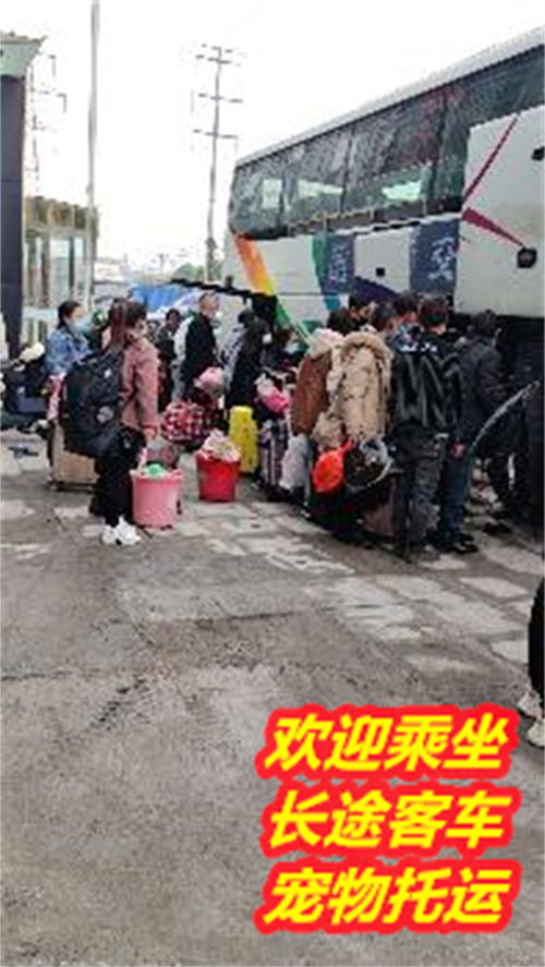 富县到洛川汽车多少钱 富县到洛川汽车多少钱
