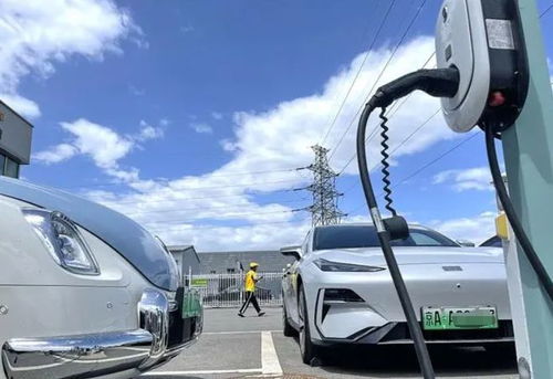 平安到循化汽车多少钱 平安到循化汽车多少钱
