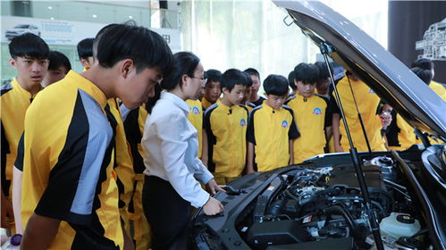 江西有多少汽车学校学生