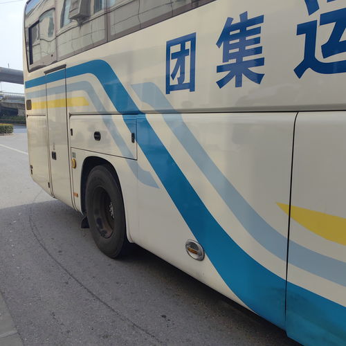 巴马到田阳汽车多少钱