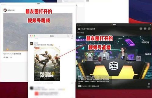 微信上线新功能 网友:适合摸鱼 微信上线新功能 网友:适合摸鱼