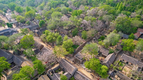 景区\跟着团长打县城\项目火出圈