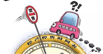 汽车燃烧多少(汽车燃烧多少，燃油效率与环保之间的博弈)