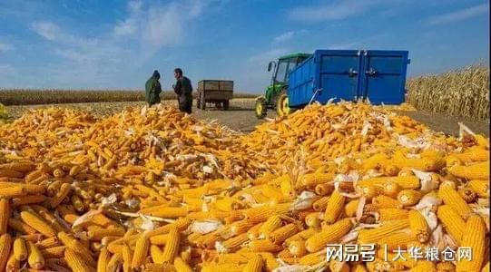 猛帆汽车零部件多少钱(猛帆汽车零部件价格概览) 猛帆汽车零部件多少钱(猛帆汽车零部件价格概览)