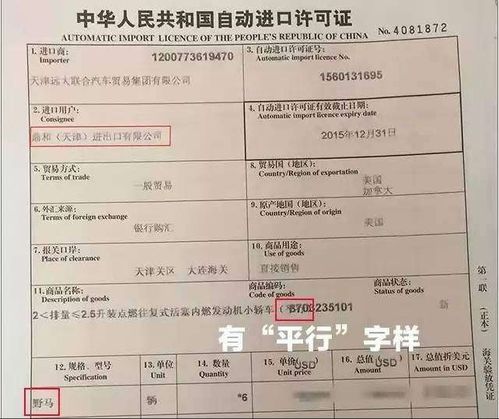 龙桥汽车检测多少钱一次(龙桥汽车检测费用详解,价格、服务及更多) 龙桥汽车检测多少钱一次(龙桥汽车检测费用详解,价格、服务及更多)