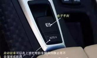 一台汽车有多少个按扭(汽车内部按键详解,一台汽车究竟有多少个按钮? 一台汽车有多少个按扭(汽车内部按键详解,一台汽车究竟有多少个按钮?