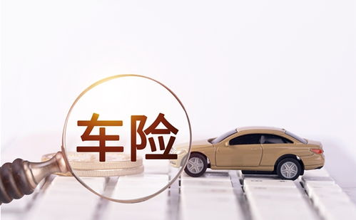 汽车前二指后四指多少钱(汽车前二指后四指的定价因素与费用解析)