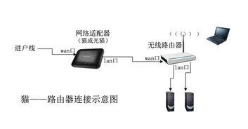华为电脑的vga线怎么插(华为电脑VGA线插入步骤详解)
