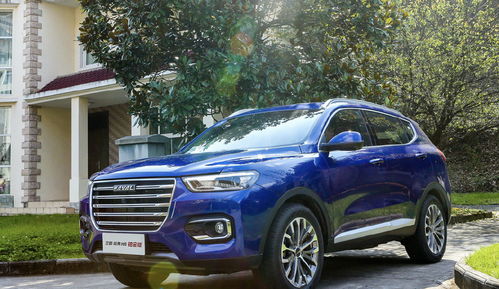 营山哈弗汽车多少钱一个(营山哈弗汽车价格概览)