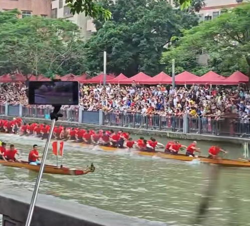 广东人自己的“水上F1”上线(广东人自己的水上F1—新一代水上运动赛事上线) 广东人自己的“水上F1”上线(广东人自己的水上F1—新一代水上运动赛事上线)