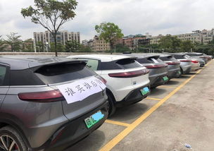 小鹏汽车贴图案膜多少钱(小鹏汽车贴图案膜的价格解析) 小鹏汽车贴图案膜多少钱(小鹏汽车贴图案膜的价格解析)