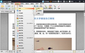 华为电脑怎么给pdf加水印(华为电脑如何为PDF文件添加水印) 华为电脑怎么给pdf加水印(华为电脑如何为PDF文件添加水印)