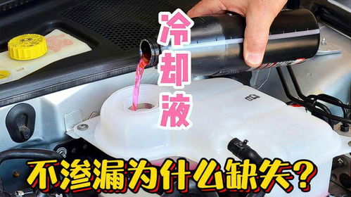 汽车冷却液应该加多少(汽车冷却液应该加多少—关于汽车冷却液添加量的探讨) 汽车冷却液应该加多少(汽车冷却液应该加多少—关于汽车冷却液添加量的探讨)
