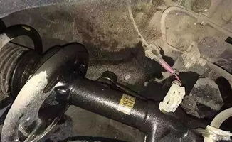 汽车减震器逍客多少钱(汽车减震器逍客价格解析) 汽车减震器逍客多少钱(汽车减震器逍客价格解析)
