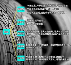 看一下汽车胎压是多少(汽车胎压监测与调整的重要性—如何正确查看汽车胎压)