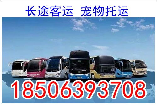 济宁到滨州有多少钱汽车(济宁到滨州汽车票价详解,价格、时间与路线) 济宁到滨州有多少钱汽车(济宁到滨州汽车票价详解,价格、时间与路线)