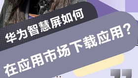 怎么下载电脑版软件华为(华为电脑版软件的下载与安装指南)
