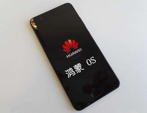 华为80怎么连接电脑(华为P80手机如何连接电脑，详细步骤与操作指南)
