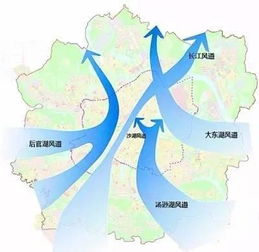 武汉已经热到鸟都中暑了(炎炎夏日,武汉热到鸟中暑—城市热岛效应的挑战与应对策略) 武汉已经热到鸟都中暑了(炎炎夏日,武汉热到鸟中暑—城市热岛效应的挑战与应对策略)
