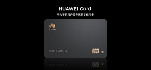 华为麒麟电脑怎么联网(华为麒麟电脑联网设置详解) 华为麒麟电脑怎么联网(华为麒麟电脑联网设置详解)