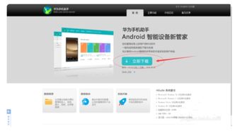 电脑怎么连接华为会议(电脑如何连接华为会议系统,详细步骤与操作指南) 电脑怎么连接华为会议(电脑如何连接华为会议系统,详细步骤与操作指南)