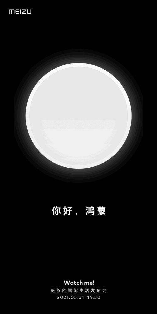 电脑怎么下华为系统(电脑如何安装华为鸿蒙系统(HarmonyOS) 电脑怎么下华为系统(电脑如何安装华为鸿蒙系统(HarmonyOS)