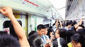 上海地铁回应便衣当场抓捕猥亵男子(上海地铁回应便衣当场抓捕猥亵男子，坚决维护公共安全，严厉打击违法行为)
