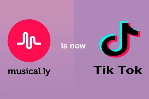 华为电脑怎么下载tiktok(华为电脑下载TikTok的详细步骤指南) 华为电脑怎么下载tiktok(华为电脑下载TikTok的详细步骤指南)