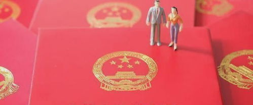 结婚1年离婚40万陪嫁被判为共同财产(结婚一年离婚，高额陪嫁引发财产纷争，法律如何界定共同财产？